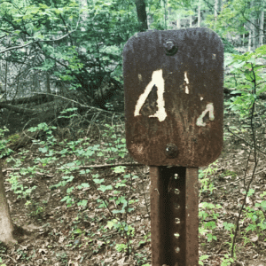 Rusted Sign